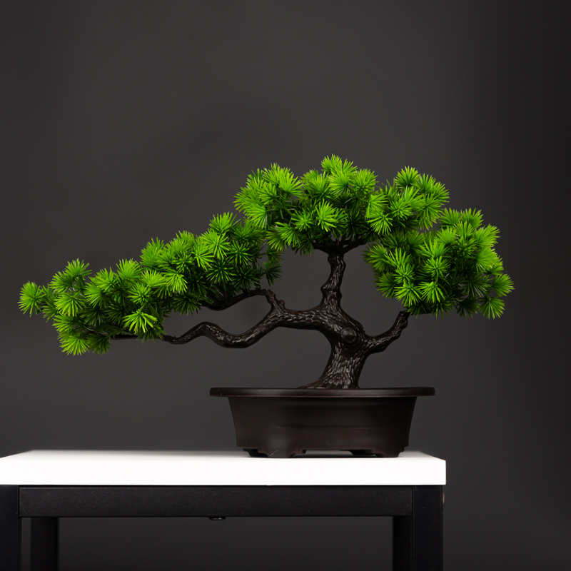 Preserved Moss Sheet - 27cm plantas de pinho artificiais bonsai