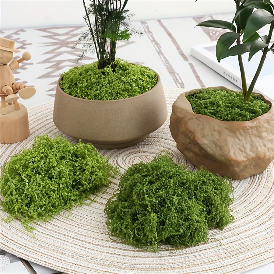 Preserved Moss Sheet - 1 pacote de musgo artificial falso,
