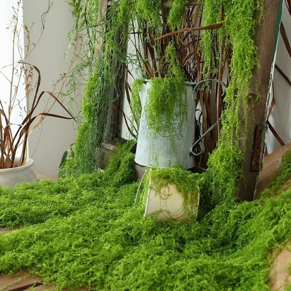 Preserved Moss Sheet - Tapete de Grama Artificial DIY Durável,