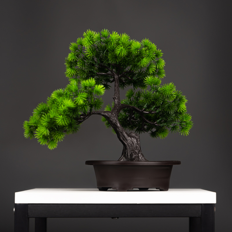 27cm plantas de pinho artifici - Preserved Moss Sheet avaliação e preço