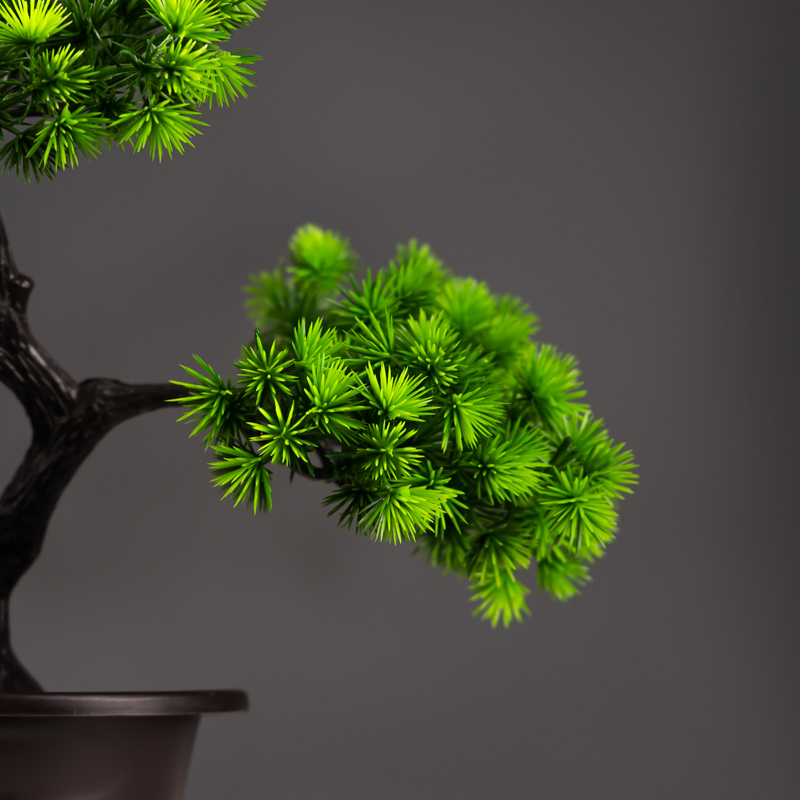 27cm plantas de pinho artifici - Preserved Moss Sheet avaliação e preço