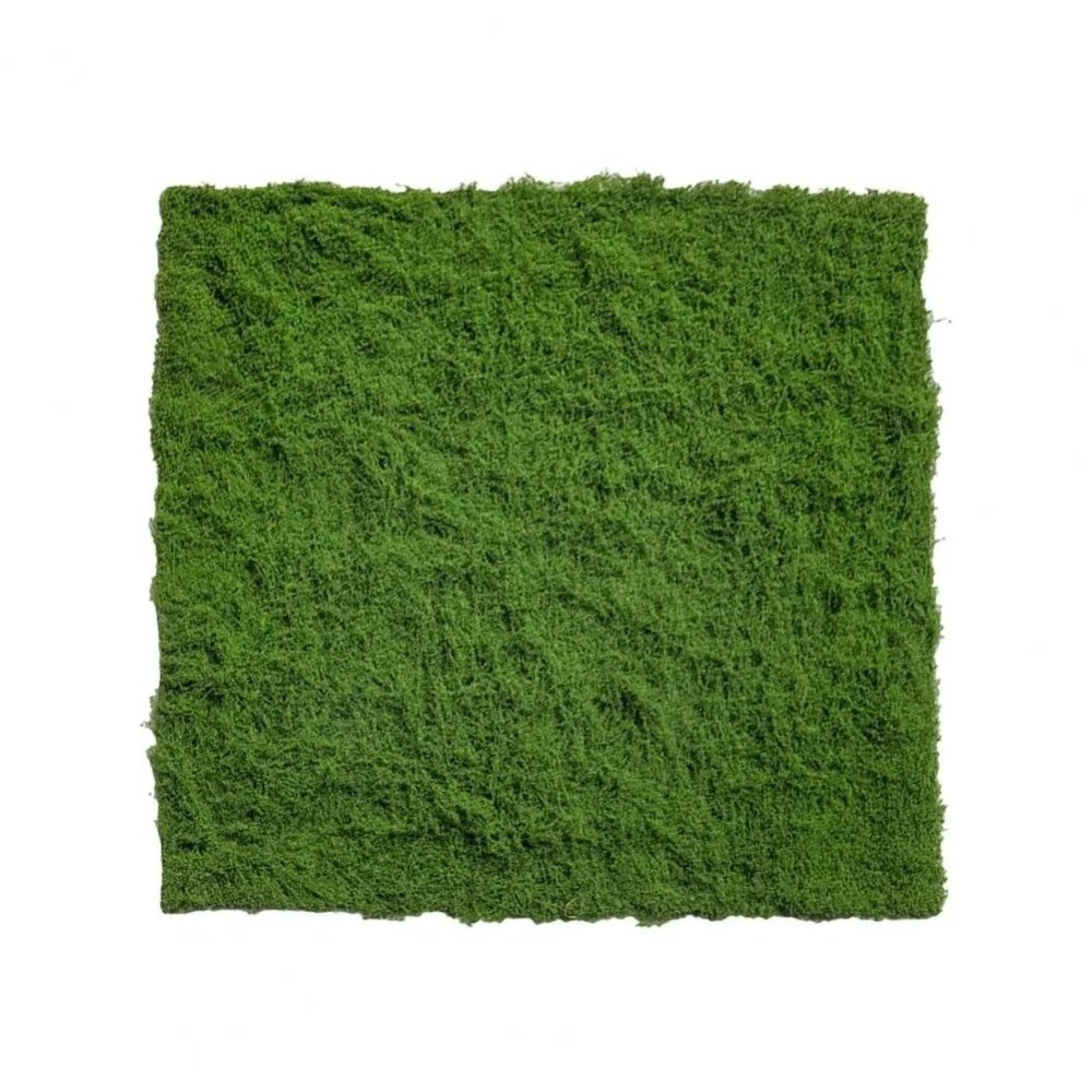 Tapete de Grama Artificial DIY - Preserved Moss Sheet avaliação e preço