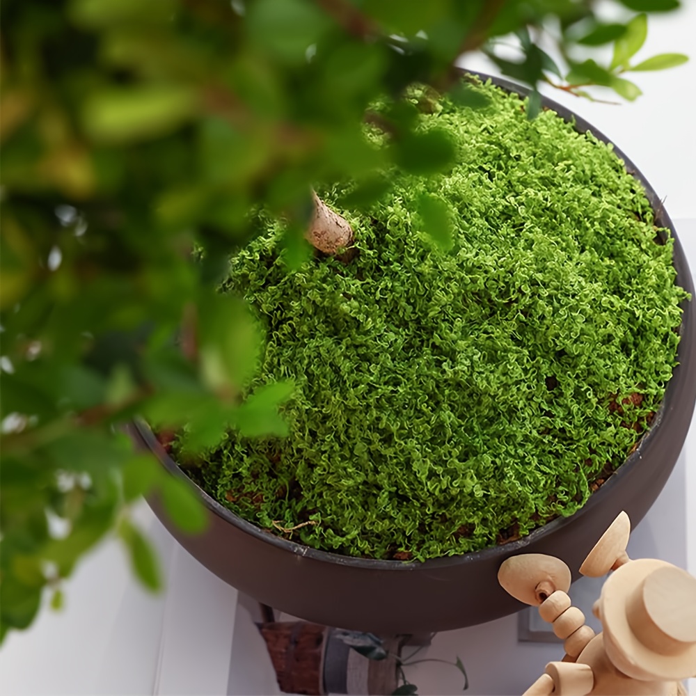 1 pacote de musgo artificial f - Preserved Moss Sheet avaliação e preço