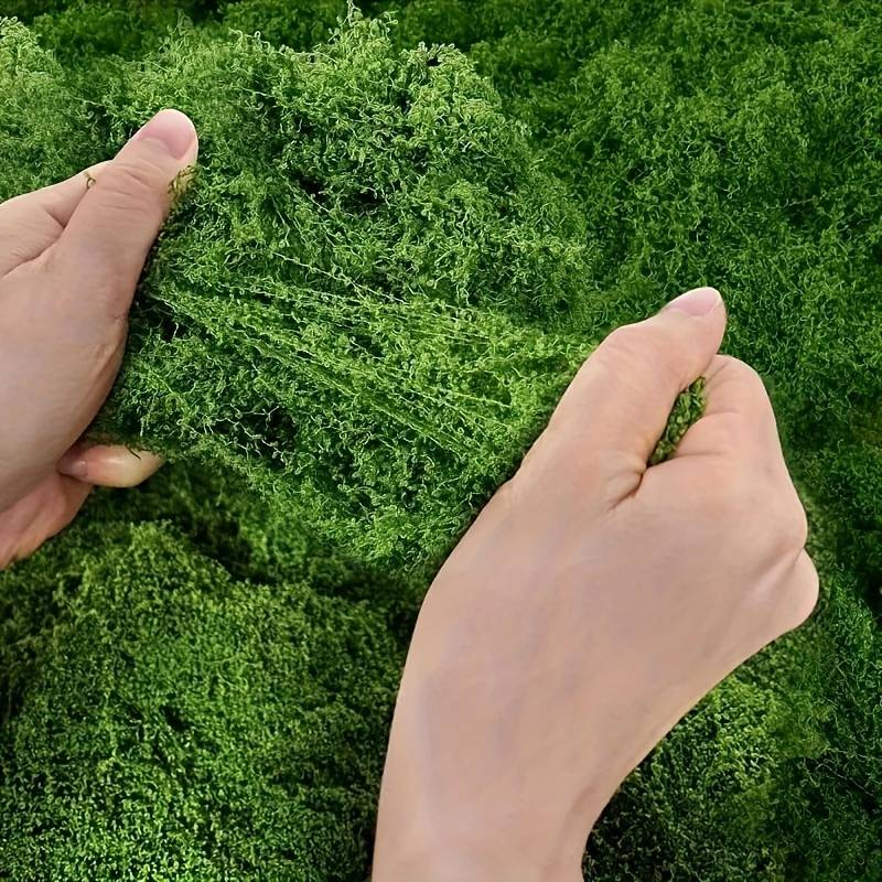 Tapete de Musgo Artificial 20' - Preserved Moss Sheet avaliação e preço