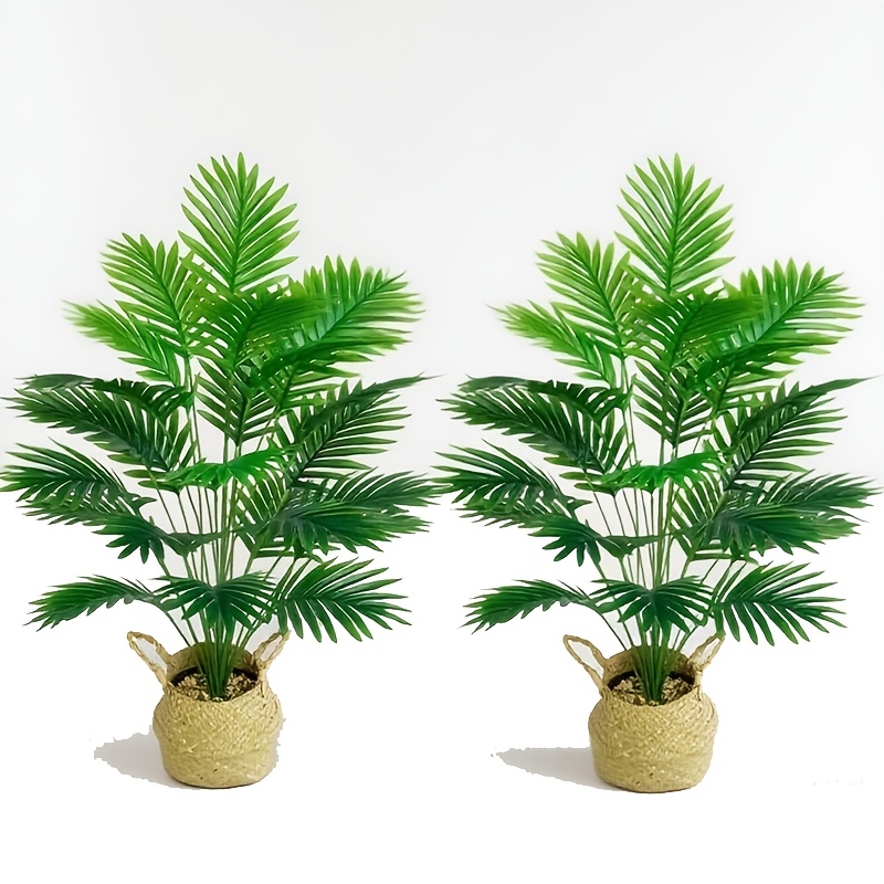 2 pçs grandes palmeiras de aba - Preserved Moss Sheet avaliação e preço