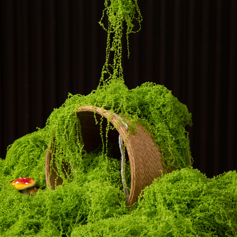 Musgo da Vida Eterna 200g para - Preserved Moss Sheet avaliação e preço