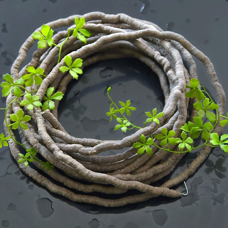 Plantas Artificiais de Hera e  - Preserved Moss Sheet avaliação e preço