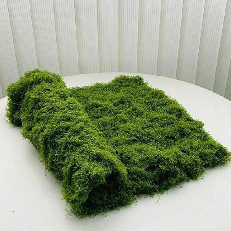 Musgo artificial para decoraçã - Preserved Moss Sheet avaliação e preço